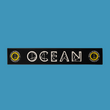 Load image into Gallery viewer, OCEAN Thin Bar Mat