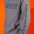 Load image into Gallery viewer, Sport Hoodie *
