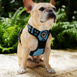Load image into Gallery viewer, Dog Harness