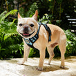 Load image into Gallery viewer, Dog Harness