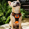 Load image into Gallery viewer, Dog Harness