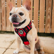 Load image into Gallery viewer, Dog Harness