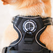 Load image into Gallery viewer, Dog Harness