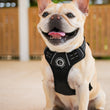 Load image into Gallery viewer, Dog Harness