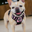 Load image into Gallery viewer, Dog Harness