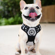 Load image into Gallery viewer, Dog Harness