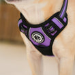 Load image into Gallery viewer, Dog Harness