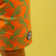 Load image into Gallery viewer, Coast Swim Trunks