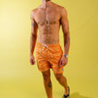 Load image into Gallery viewer, Coast Swim Trunks