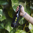 Load image into Gallery viewer, Blonde Ale