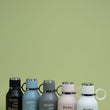 Load image into Gallery viewer, Dog Insulated Water Bottle