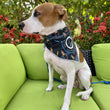 Load image into Gallery viewer, OCEAN LAB | Premium Dog Bandana (2-IN-1)