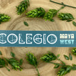 Load image into Gallery viewer, COLEGIO Sticker