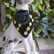 Load image into Gallery viewer, Ocean Lab Classic Dog Bandana