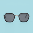 Load image into Gallery viewer, Optics Driftwood Edition Sunglasses - Metal/Wood Collection
