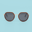 Load image into Gallery viewer, Optics Driftwood Edition Sunglasses - Metal/Wood Collection
