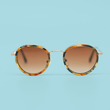 Load image into Gallery viewer, Optics Driftwood Edition Sunglasses - Metal/Wood Collection
