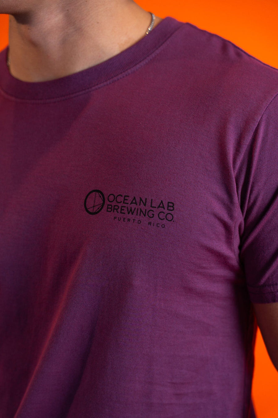Beer'd Hopster Short Sleeve T-Shirt - Berry