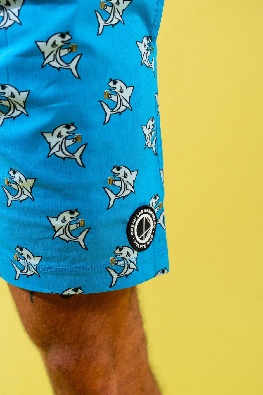 Coast Swim Trunks