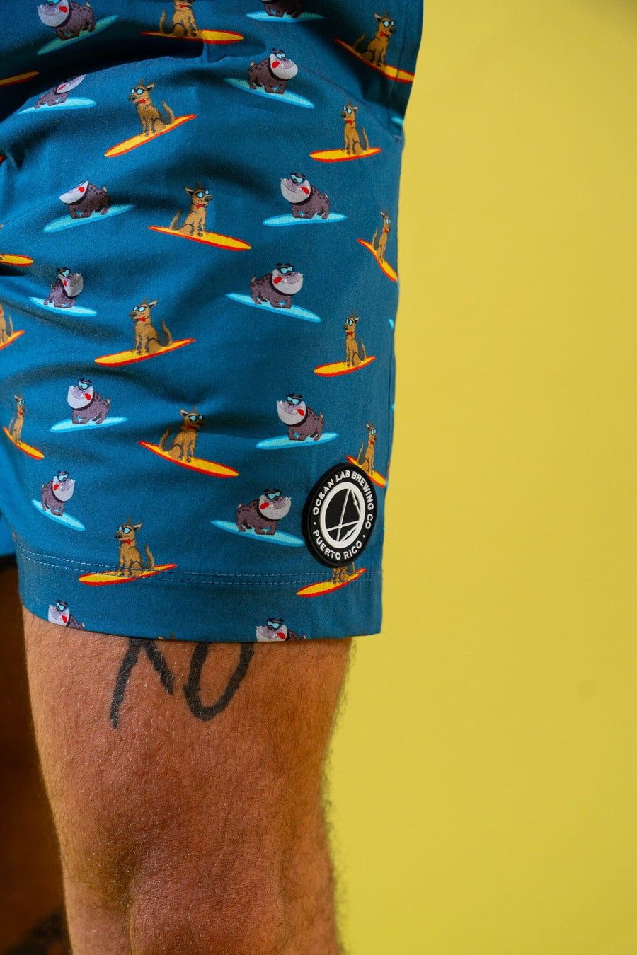 Coast Swim Trunks