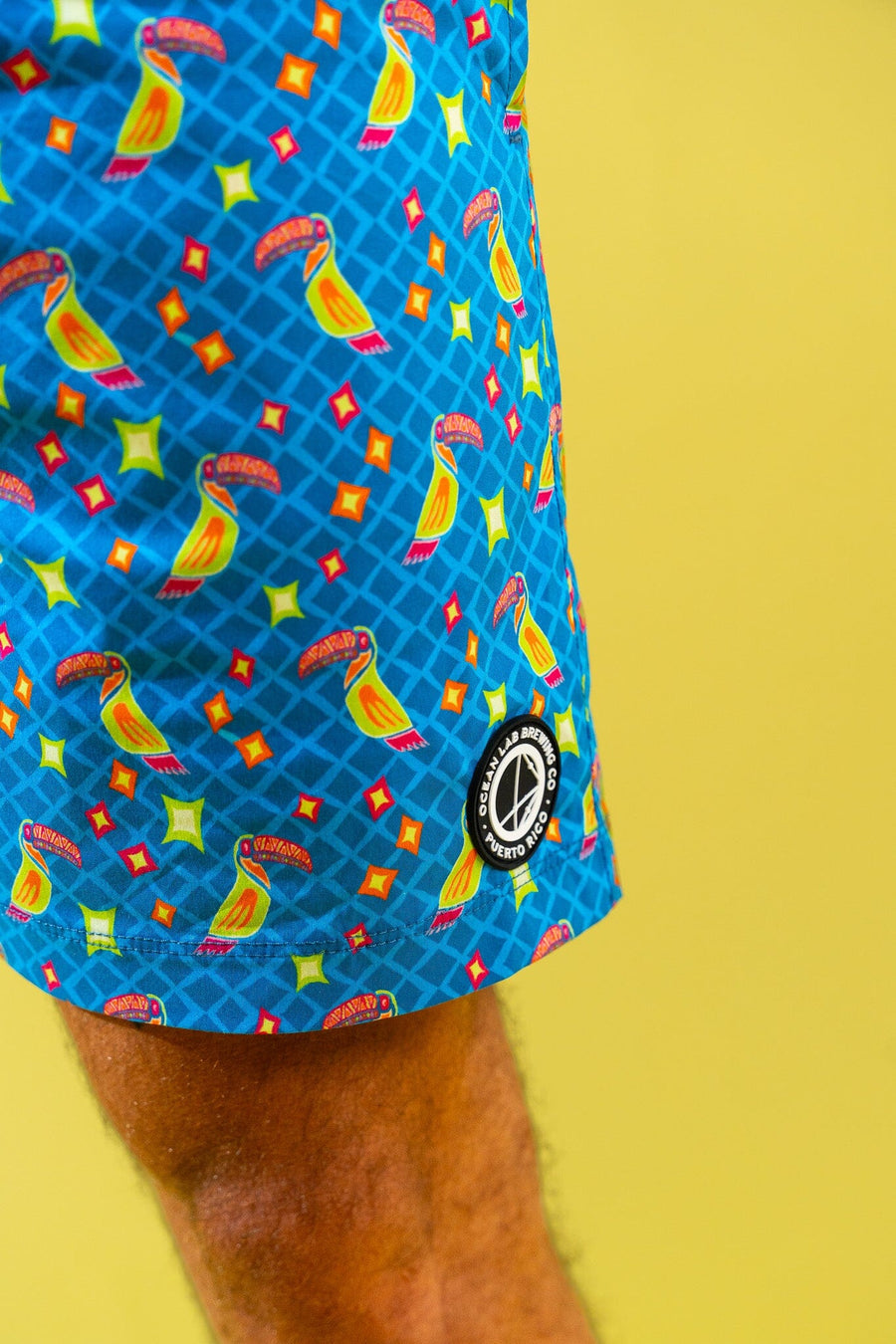 Coast Swim Trunks