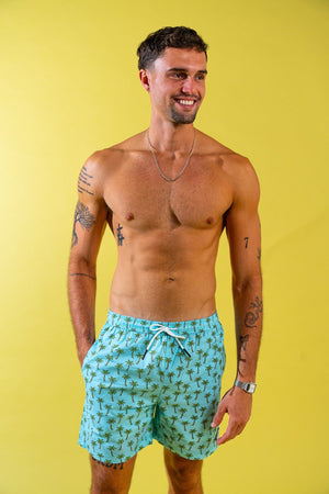 Coast Swim Trunks