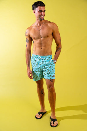 Coast Swim Trunks