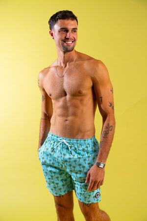 Coast Swim Trunks