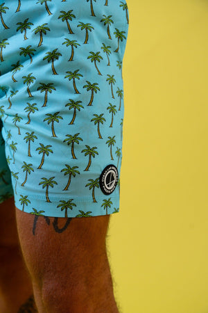 Coast Swim Trunks