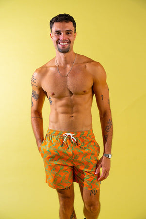 Coast Swim Trunks