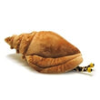 Load image into Gallery viewer, Calypso Conch Plush
