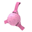 Load image into Gallery viewer, Ball Dog Toy
