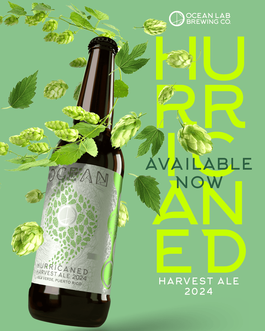 Hurricaned Harvest Ale 2024