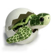 Load image into Gallery viewer, Sea Turtle Hatchlings
