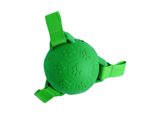 Ball Dog Toy