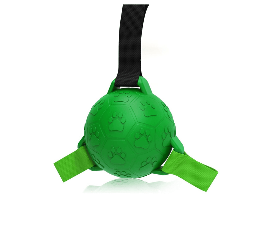 Ball Dog Toy