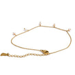 Load image into Gallery viewer, Khalesi Anklet
