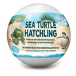 Load image into Gallery viewer, Sea Turtle Hatchlings
