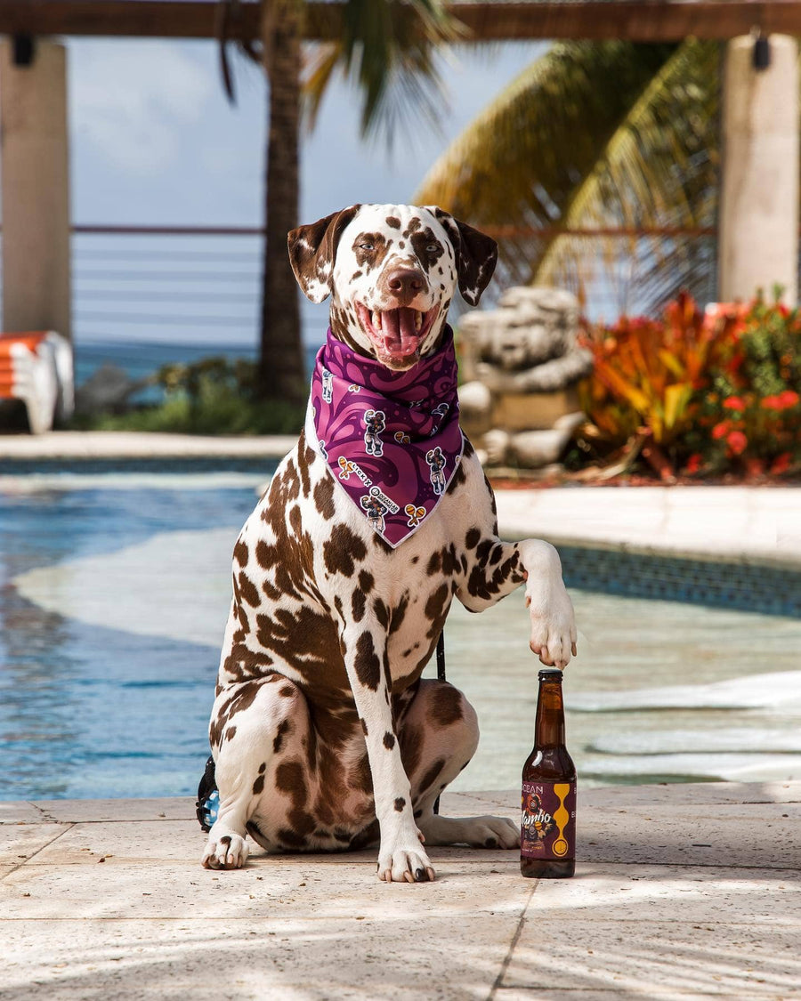 MAMBO | Premium Dog Bandana (2-IN-1)