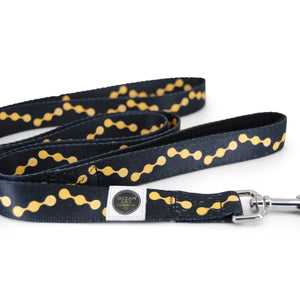 Ocean Drop Dog Leash - Horizontal