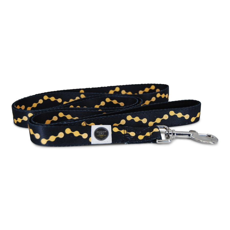 Ocean Drop Dog Leash - Horizontal