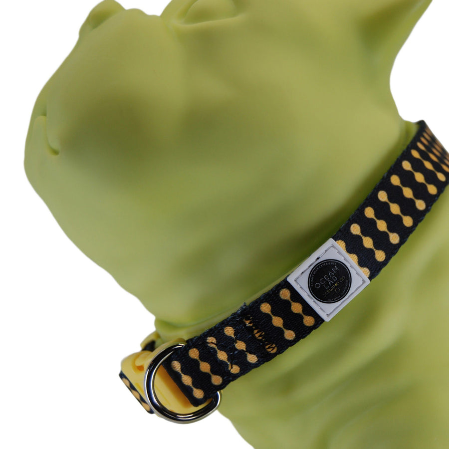 Ocean Lab Dog Collar - Vertical