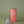 Load image into Gallery viewer, Shaker Tumbler - Coral
