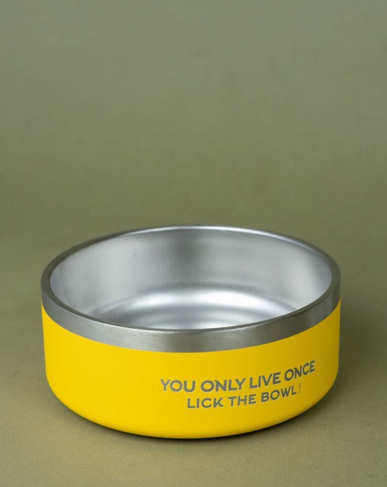 Dog Insulated Bowl - Small