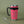 Load image into Gallery viewer, Tumbler Set 20oz - Neon Pink
