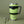 Load image into Gallery viewer, Tumbler Set 30oz - Lime
