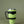 Load image into Gallery viewer, Tumbler Set 30oz - Lime
