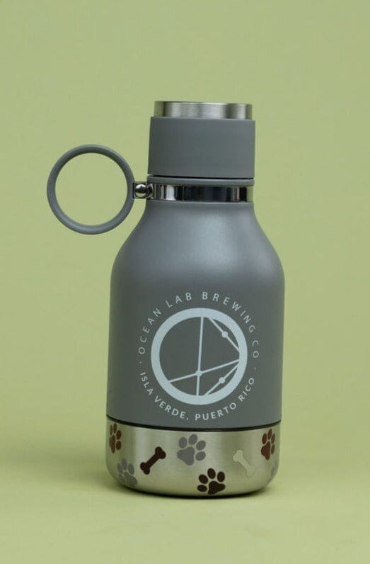 Dog Insulated Water Bottle