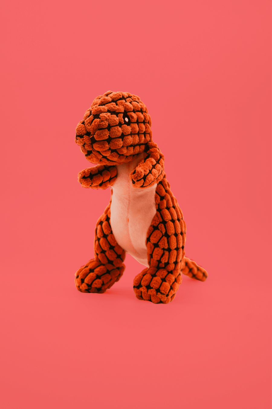 Dinosaur Dog Toy