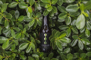 IPA Bottle